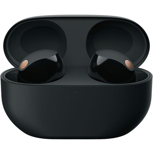 Sony WF-1000X M5 Wireless NC Headphones Black通販 | イートレン